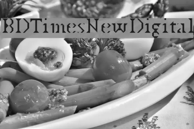 BDTimesNewDigital Font examples