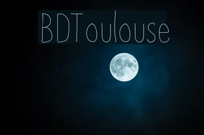 BDToulouse Example 2
