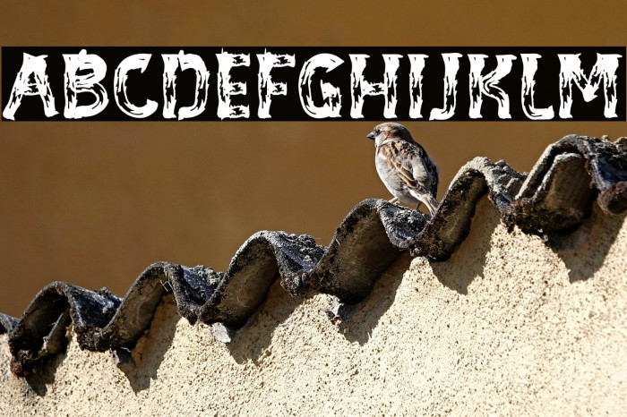 BE-WILD Brush Font Example 2