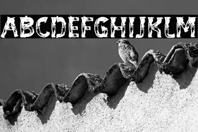 BE-WILD Brush Font خط examples