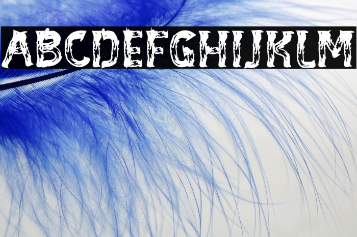 BE-WILD Brush Font Example 3