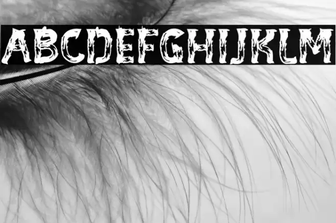 BE-WILD Brush Font خط examples