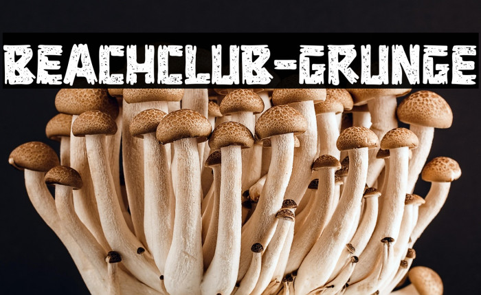 BEACHCLUB-Grunge Example 2
