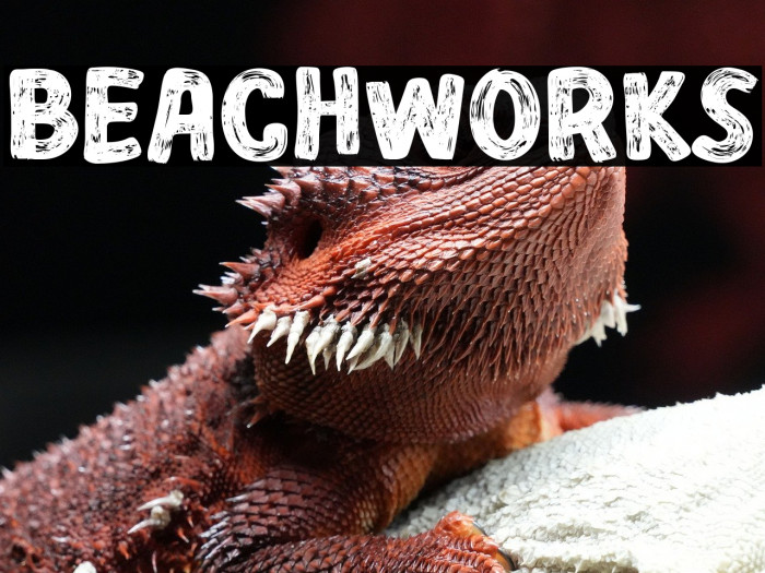 BEACHWORKS Example 1