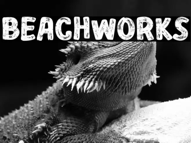 BEACHWORKS Font examples