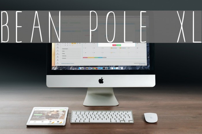 BEAN POLE XL Example 2