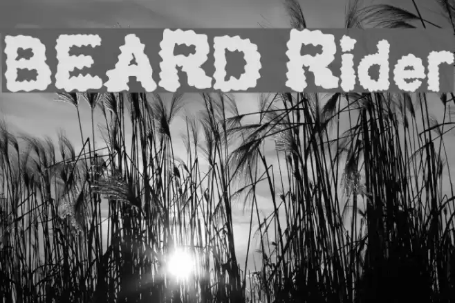 BEARD Rider Font examples
