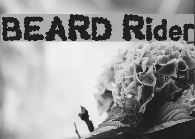 BEARD Rider Font examples