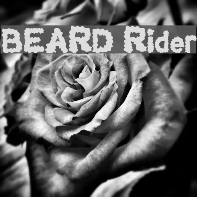 BEARD Rider Font examples