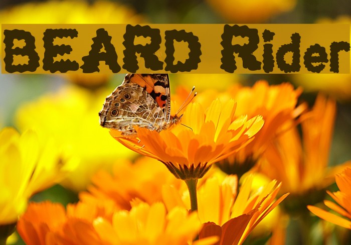 BEARD Rider Font examples