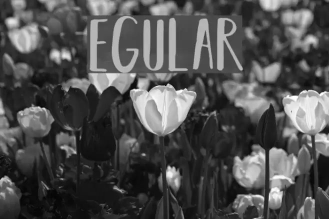 BEARHUGSBYRATTICSASSIN-Regular Font examples