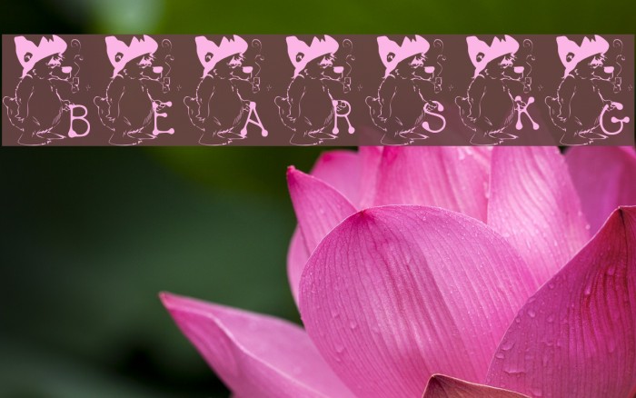 BEARS1_KG Font examples