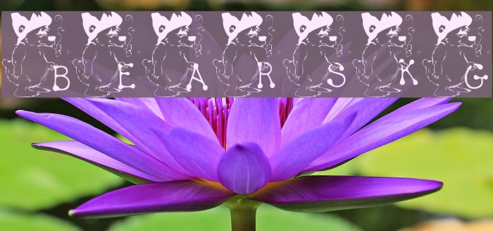 BEARS1_KG Font examples