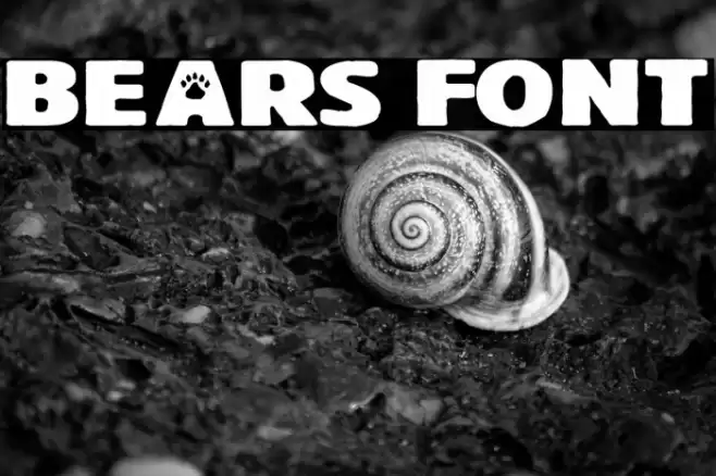 BEARS Font examples