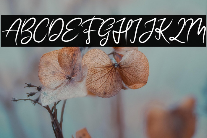 BEAUTIFUL BRITISH DEMO Example 1