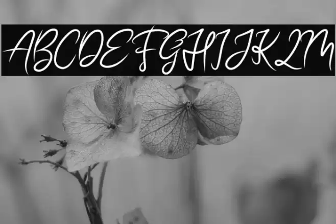 BEAUTIFUL BRITISH DEMO Font examples