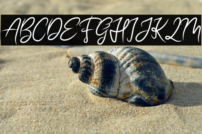 BEAUTIFUL BRITISH DEMO Example 3