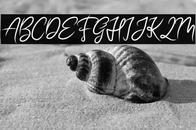 BEAUTIFUL BRITISH DEMO Font examples