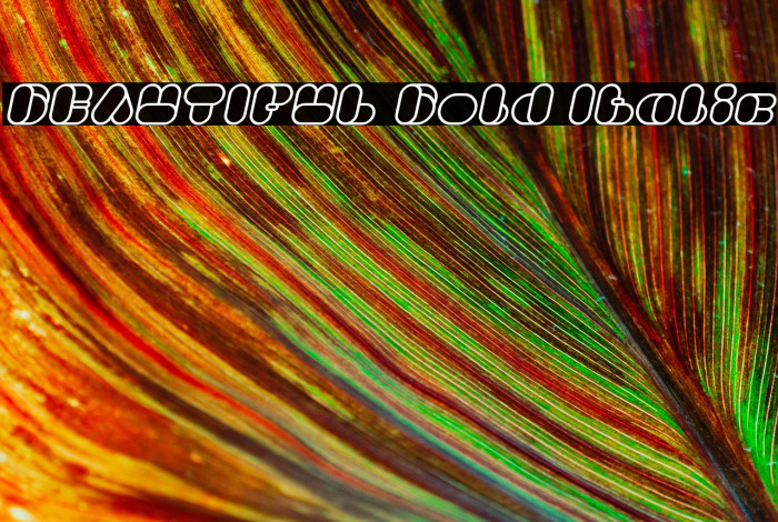 BEAUTIFUL Bold Italic Example 2