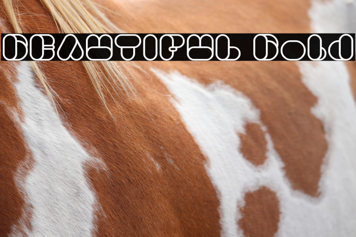 BEAUTIFUL Bold Example 3