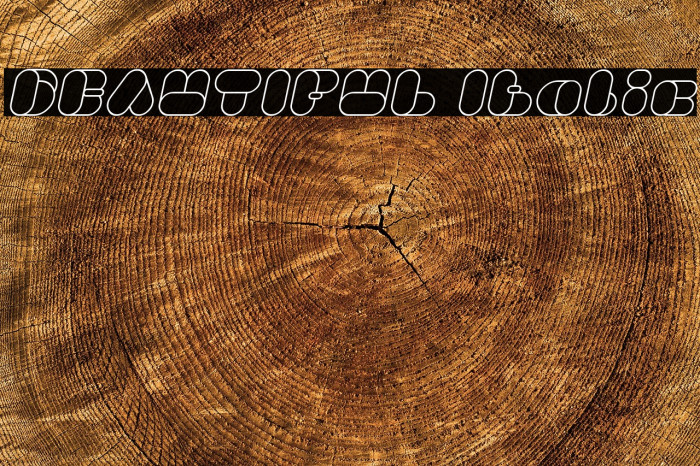 BEAUTIFUL Italic Example 1