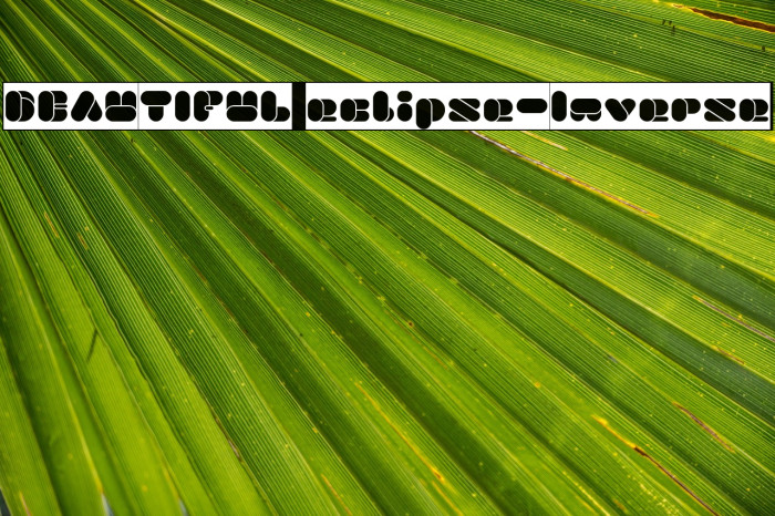 BEAUTIFUL eclipse-Inverse Example 1