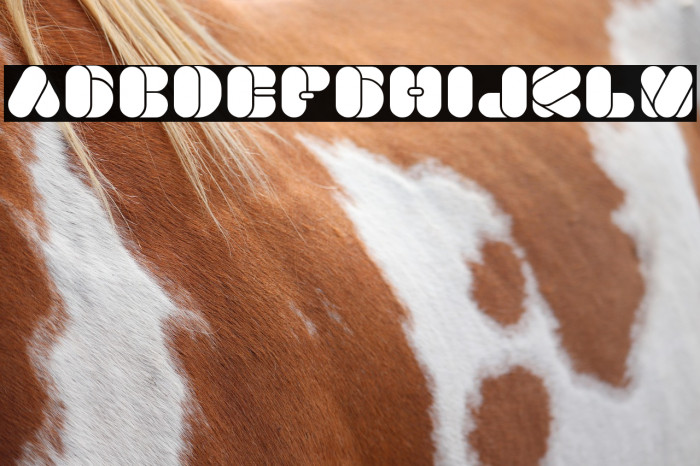 BEAUTIFUL eclipse Example 2