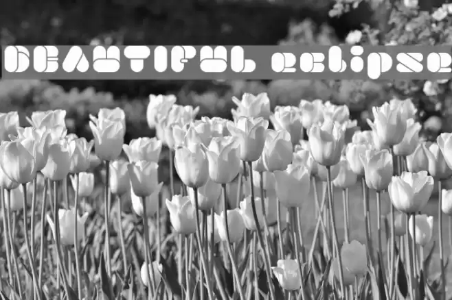 BEAUTIFUL eclipse Font examples