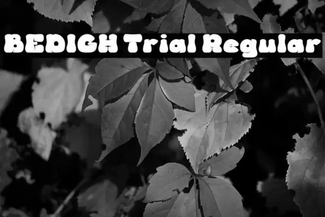 BEDIGH Trial Regular Fuentes examples