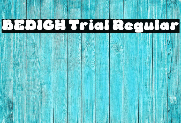 BEDIGH Trial Regular Example 2