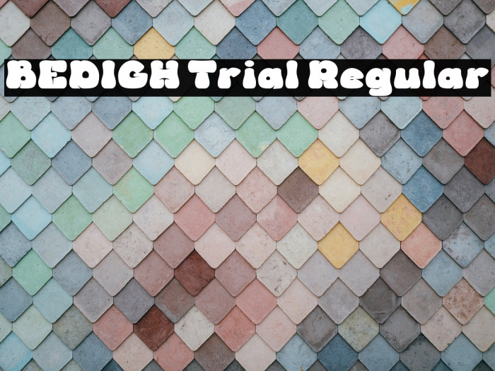 BEDIGH Trial Regular Example 3