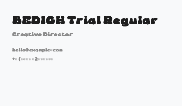BEDIGH Trial Regular Business Card