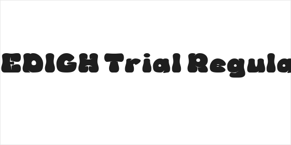 BEDIGH Trial Regular Logo