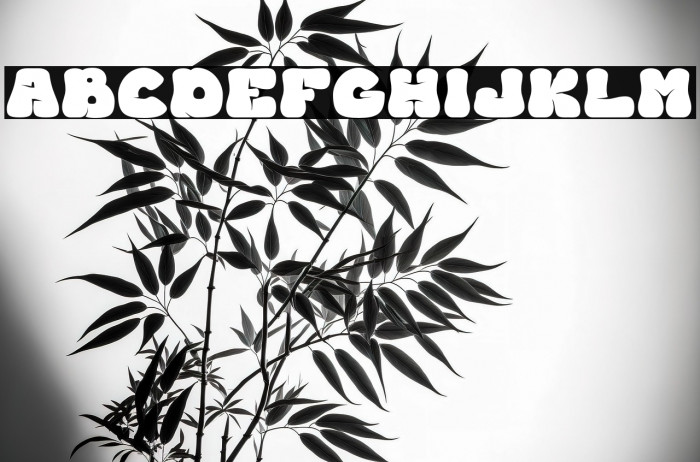 BEDIGHTrial-Regular Example 1