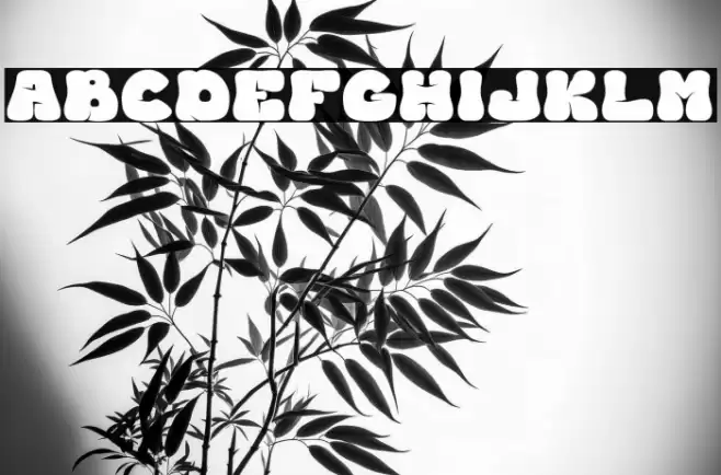 BEDIGHTrial-Regular Fuentes examples