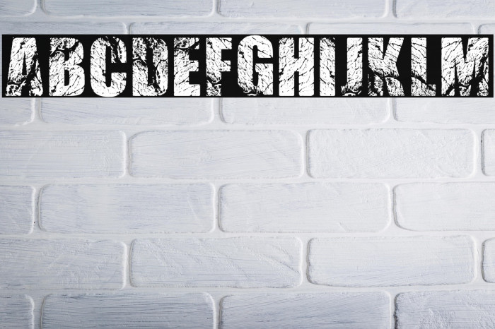 BEEF 3 PERSONAL USE Bold Example 1