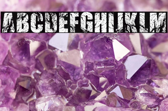 BEEF 3 PERSONAL USE Bold Example 2