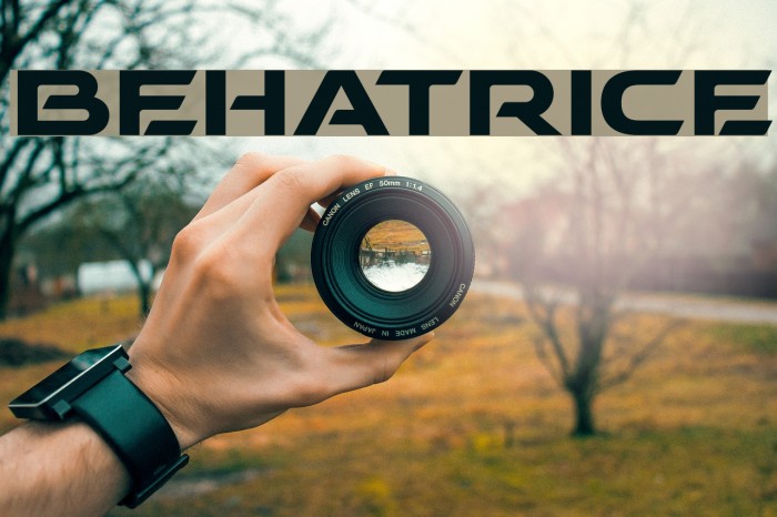 BEHATRICE Font examples