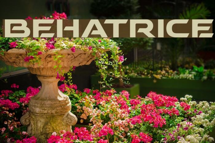 BEHATRICE Font examples