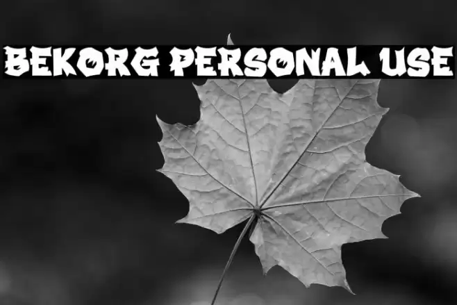 BEKORG PERSONAL USE Font examples