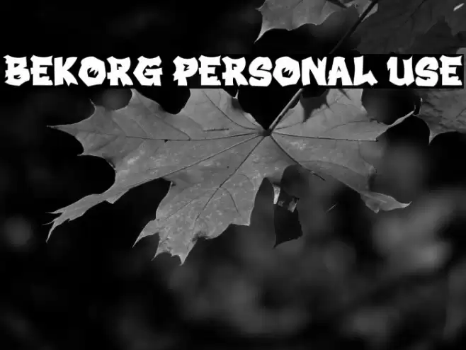 BEKORG PERSONAL USE Font examples