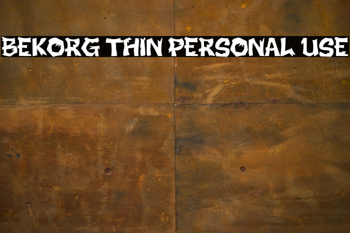 BEKORG THIN PERSONAL USE Example 1