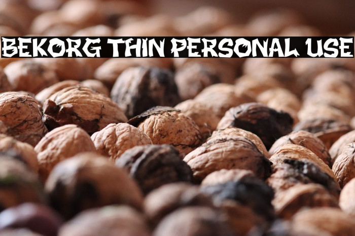 BEKORG THIN PERSONAL USE Example 2