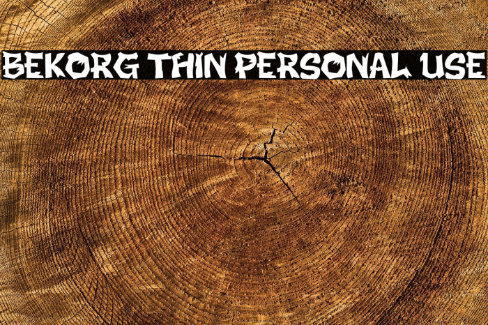 BEKORG THIN PERSONAL USE Example 3