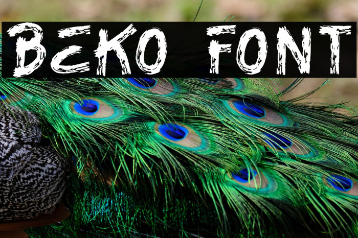 BEKO Example 2