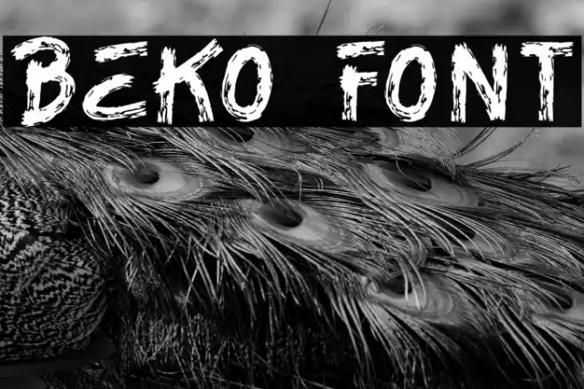 BEKO Font examples