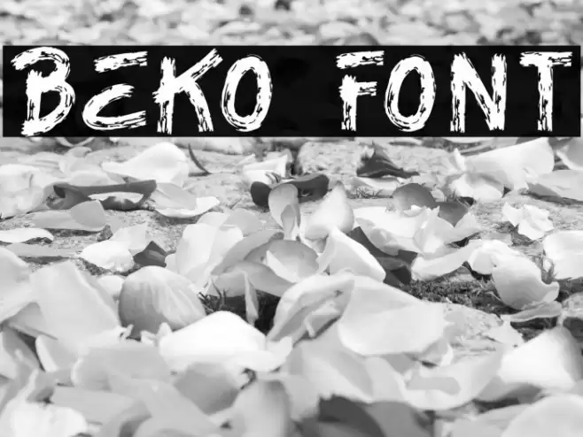 BEKO Font examples
