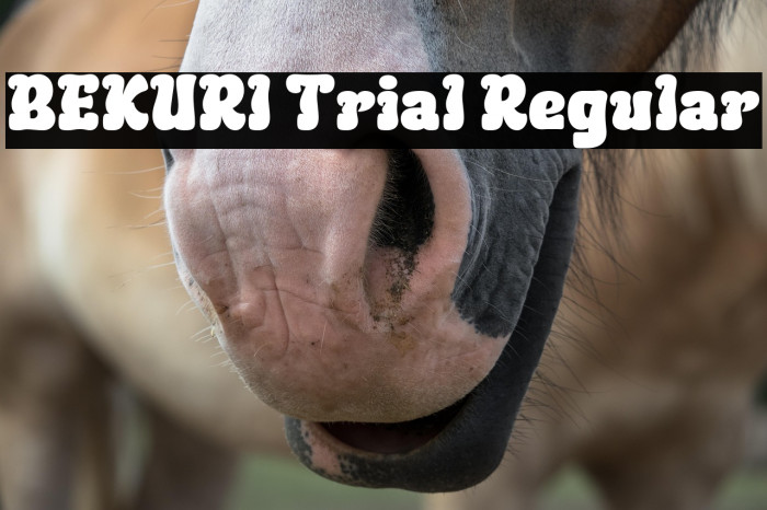 BEKURI Trial Regular Example 2