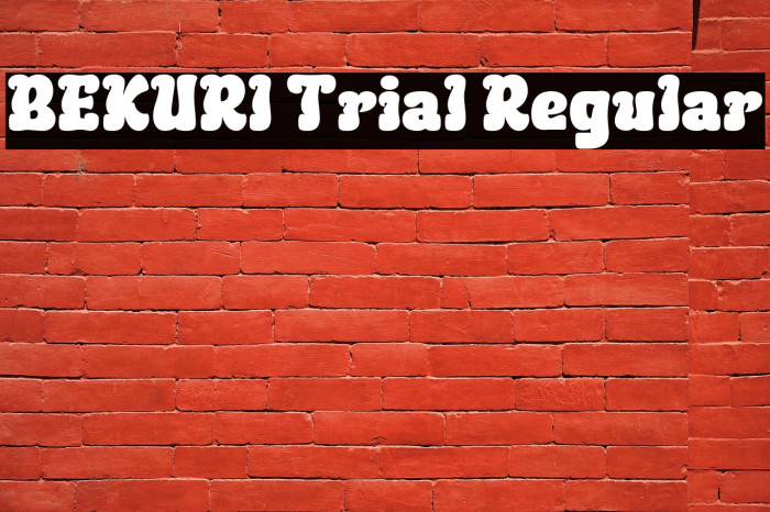 BEKURI Trial Regular Example 3