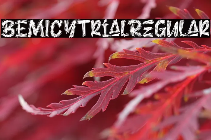 BEMICY trial Regular Example 3